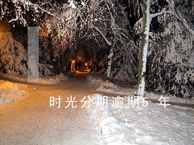 时光分期逾期5年