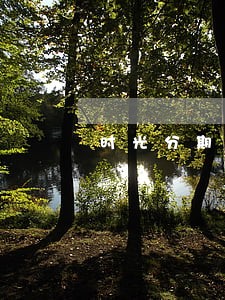 时光分期逾期一周 时光分期逾期一周