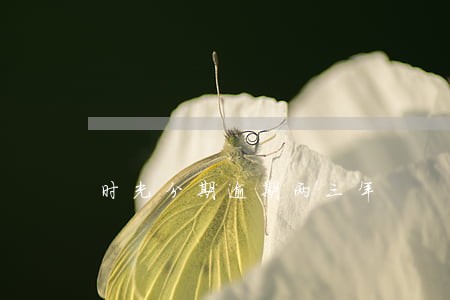 时光分期逾期两三年 时光分期逾期两三年