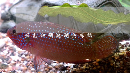 时光分期逾期会冻结 时光分期逾期会冻结