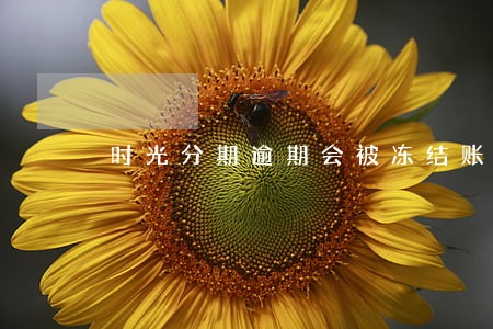 时光分期逾期会被冻结账户吗 时光分期逾期会被冻结账户吗