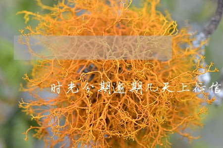 时光分期逾期几天上征信 时光分期逾期几天上征信