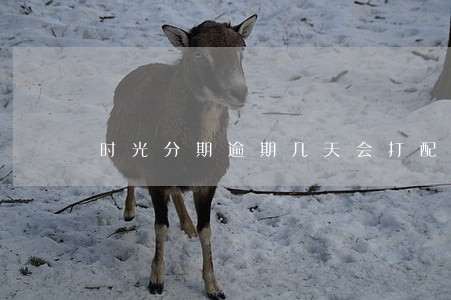 时光分期逾期几天会打配偶电话