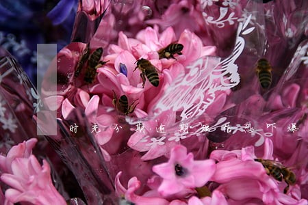 时光分期逾期短信恐吓爆照片