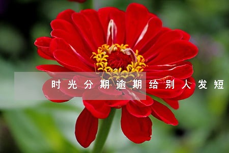 时光分期逾期给别人发短信 时光分期逾期给别人发短信