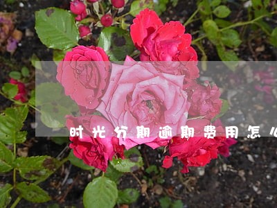 时光分期逾期费用怎么减免 时光分期逾期费用怎么减免