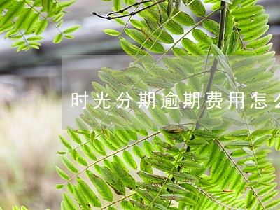 时光分期逾期费用怎么算 时光分期逾期费用怎么算