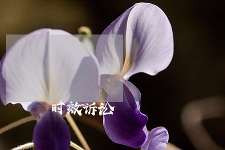 时效诉讼 时效诉讼