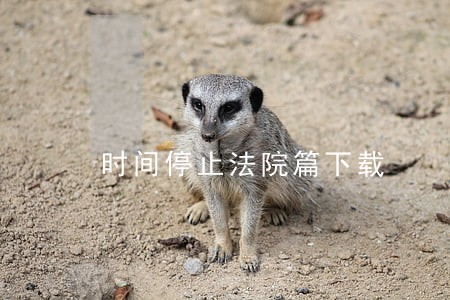 时间停止法院篇下载 时间停止法院篇下载