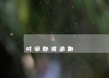 时间即将逾期 时间即将逾期