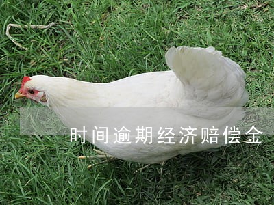 时间逾期经济赔偿金
