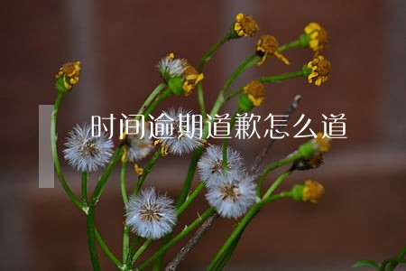 时间逾期道歉怎么道