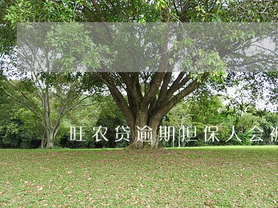旺农贷逾期担保人会被拉黑吗 旺农贷逾期担保人会被拉黑吗