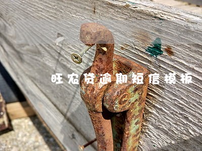 旺农贷逾期短信模板 旺农贷逾期短信模板