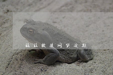 旺旺救援网贷逾期