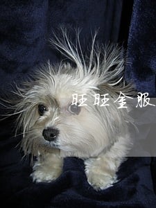 旺旺金服逾期一天会上征信吗 旺旺金服逾期一天会上征信吗