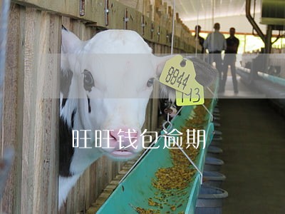 旺旺钱包逾期 旺旺钱包逾期