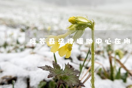 旺苍县法律援助中心在哪 旺苍县法律援助中心在哪