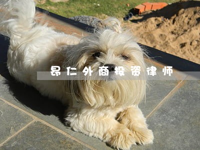 昂仁外商投资律师 昂仁外商投资律师
