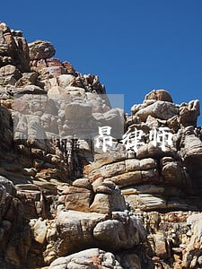 昂律师