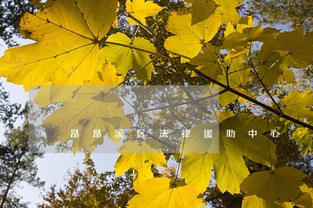 昂昂溪区法律援助中心 昂昂溪区法律援助中心