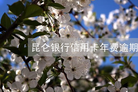 昆仑银行信用卡年费逾期怎么办 昆仑银行信用卡年费逾期怎么办