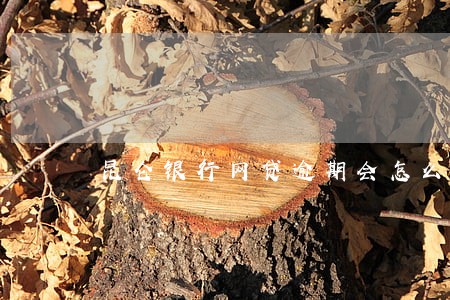 昆仑银行网贷逾期会怎么样 昆仑银行网贷逾期会怎么样