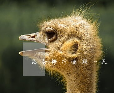 昆仑银行逾期一天 昆仑银行逾期一天