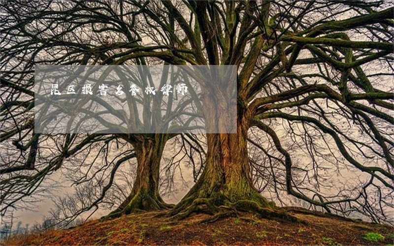 昆区损害名誉权律师 昆区损害名誉权律师