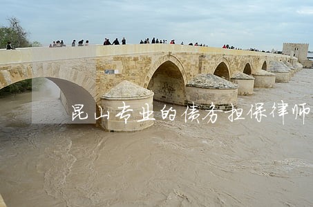 昆山专业的债务担保律师多少钱 昆山专业的债务担保律师多少钱