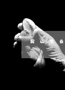 昆山专业离婚财产分割律师怎么样 昆山专业离婚财产分割律师怎么样