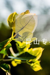昆山专办债务律师电话咨询 昆山专办债务律师电话咨询