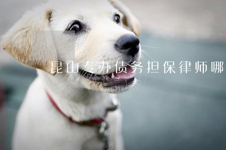 昆山专办债务担保律师哪个好 昆山专办债务担保律师哪个好