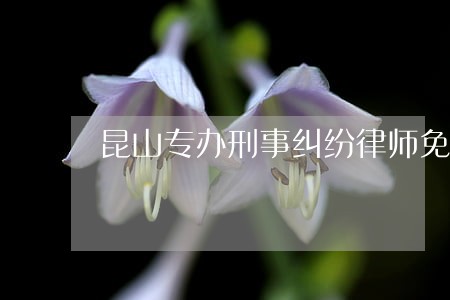 昆山专办刑事纠纷律师免费咨询 昆山专办刑事纠纷律师免费咨询