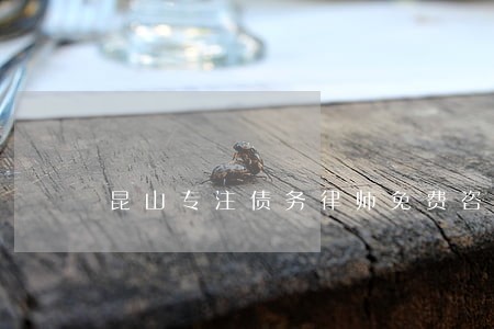 昆山专注债务律师免费咨询 昆山专注债务律师免费咨询