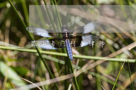 昆山专门刑事律师 昆山专门刑事律师