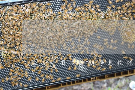 昆山信用卡逾期停息挂帐电话 昆山信用卡逾期停息挂帐电话