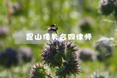 昆山债务合同律师 昆山债务合同律师