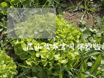 昆山债务官司律师电话咨询 昆山债务官司律师电话咨询