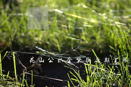 昆山公积金贷款逾期宽限期 昆山公积金贷款逾期宽限期