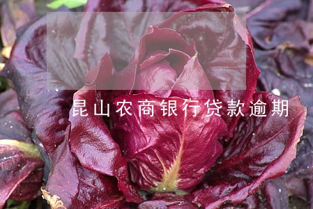 昆山农商银行贷款逾期 昆山农商银行贷款逾期