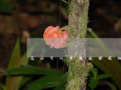 昆山可以申请法律援助吗