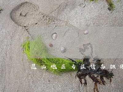 昆山地区专注债务担保律师排名