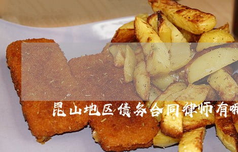 昆山地区债务合同律师有哪些 昆山地区债务合同律师有哪些