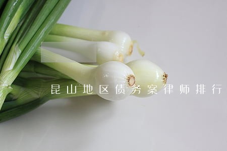 昆山地区债务案律师排行 昆山地区债务案律师排行