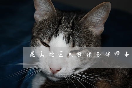 昆山地区大额债务律师事务所 昆山地区大额债务律师事务所