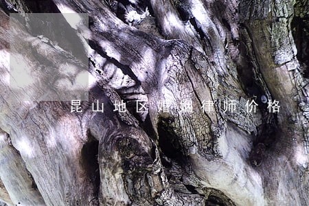 昆山地区婚姻律师价格 昆山地区婚姻律师价格