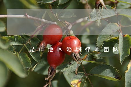 昆山地区婚姻律师团队 昆山地区婚姻律师团队