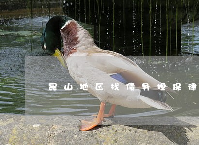 昆山地区找债务担保律师哪个好 昆山地区找债务担保律师哪个好