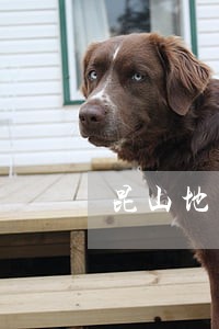 昆山地区有实力的离婚律师 昆山地区有实力的离婚律师